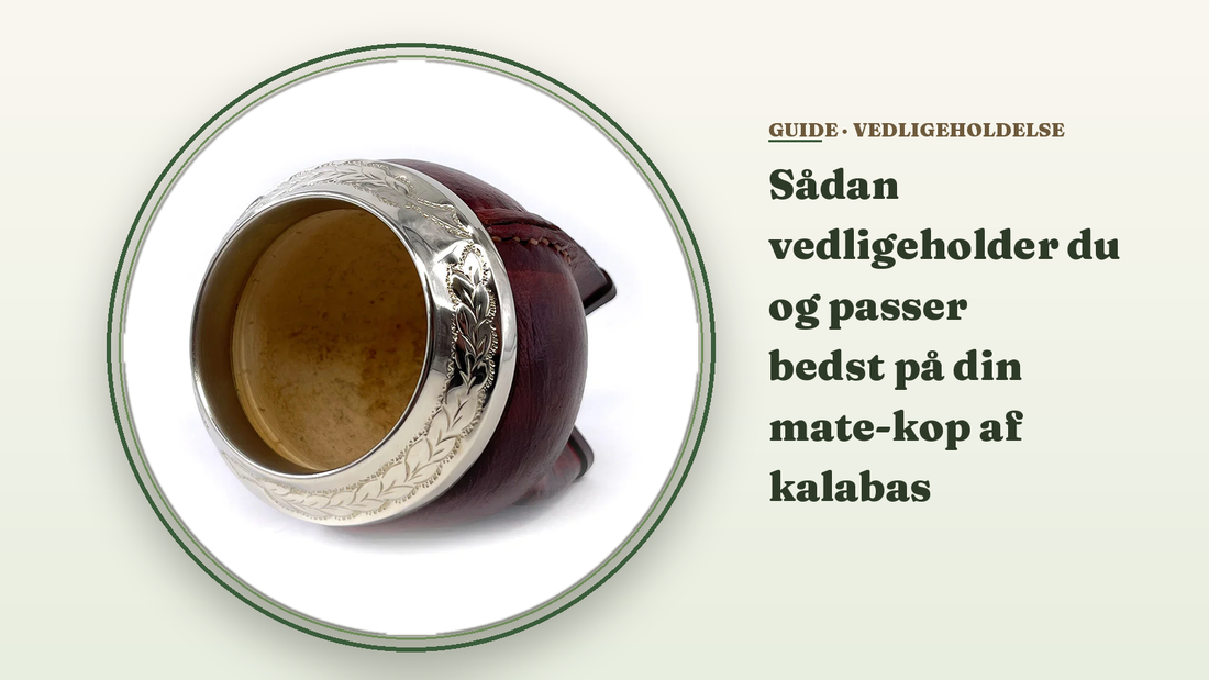 Sådan vedligeholder du og passer bedst på din mate-kop af kalabas