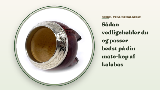 Sådan vedligeholder du og passer bedst på din mate-kop af kalabas