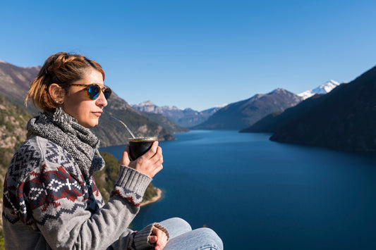Hvad er yerba mate? Begynderens guide til mate
