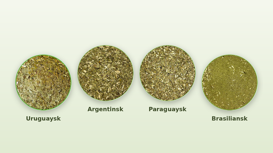 Forskellen på yerba mate-typer