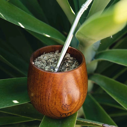 Yerba mate start kit - matekop, bombilla og 500g yerba mate
